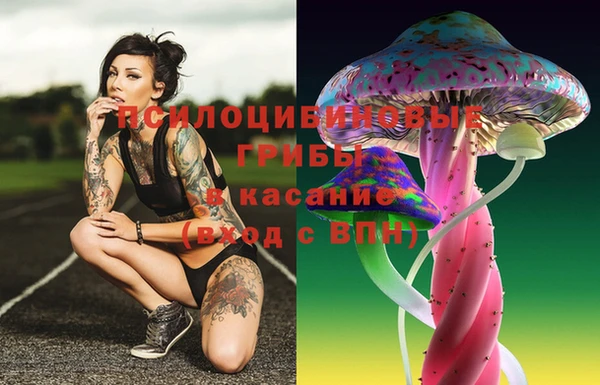 mix Гусев
