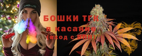 скорость Каменка